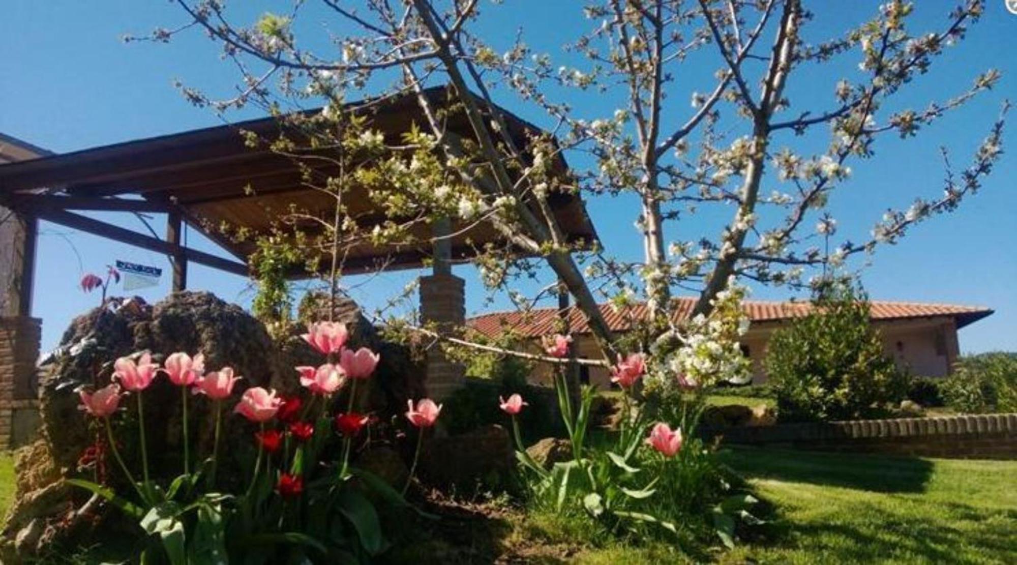 La Mandriana Villa Massa Marittima Esterno foto