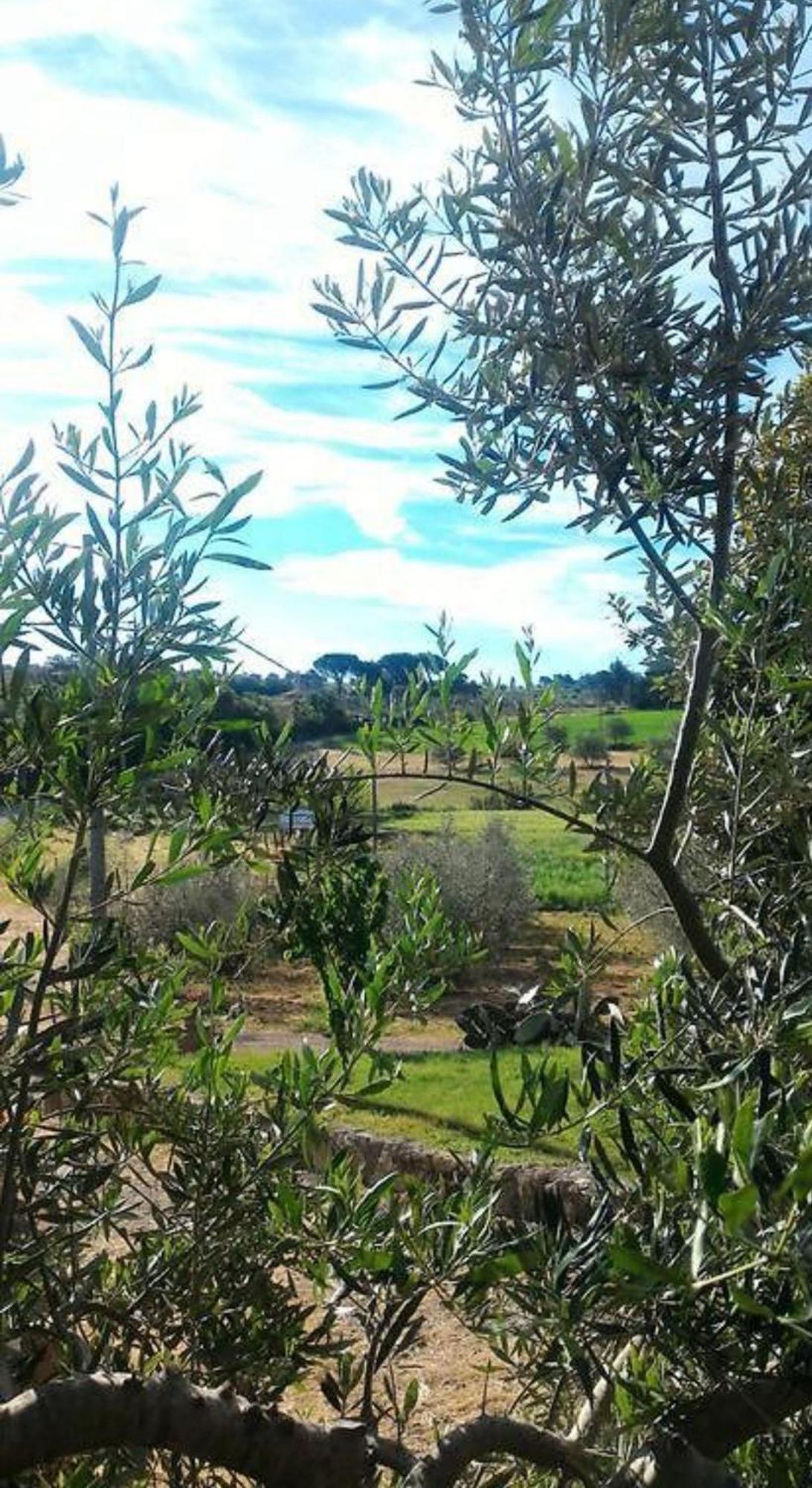 La Mandriana Villa Massa Marittima Esterno foto