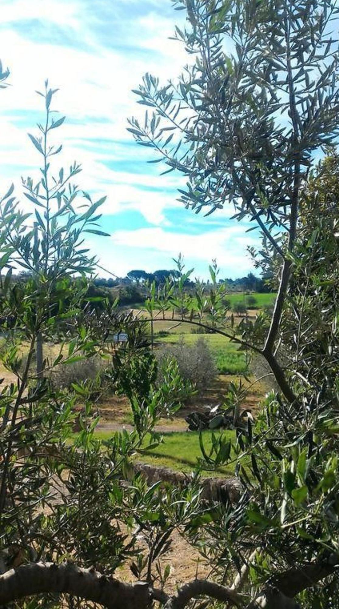 La Mandriana Villa Massa Marittima Esterno foto
