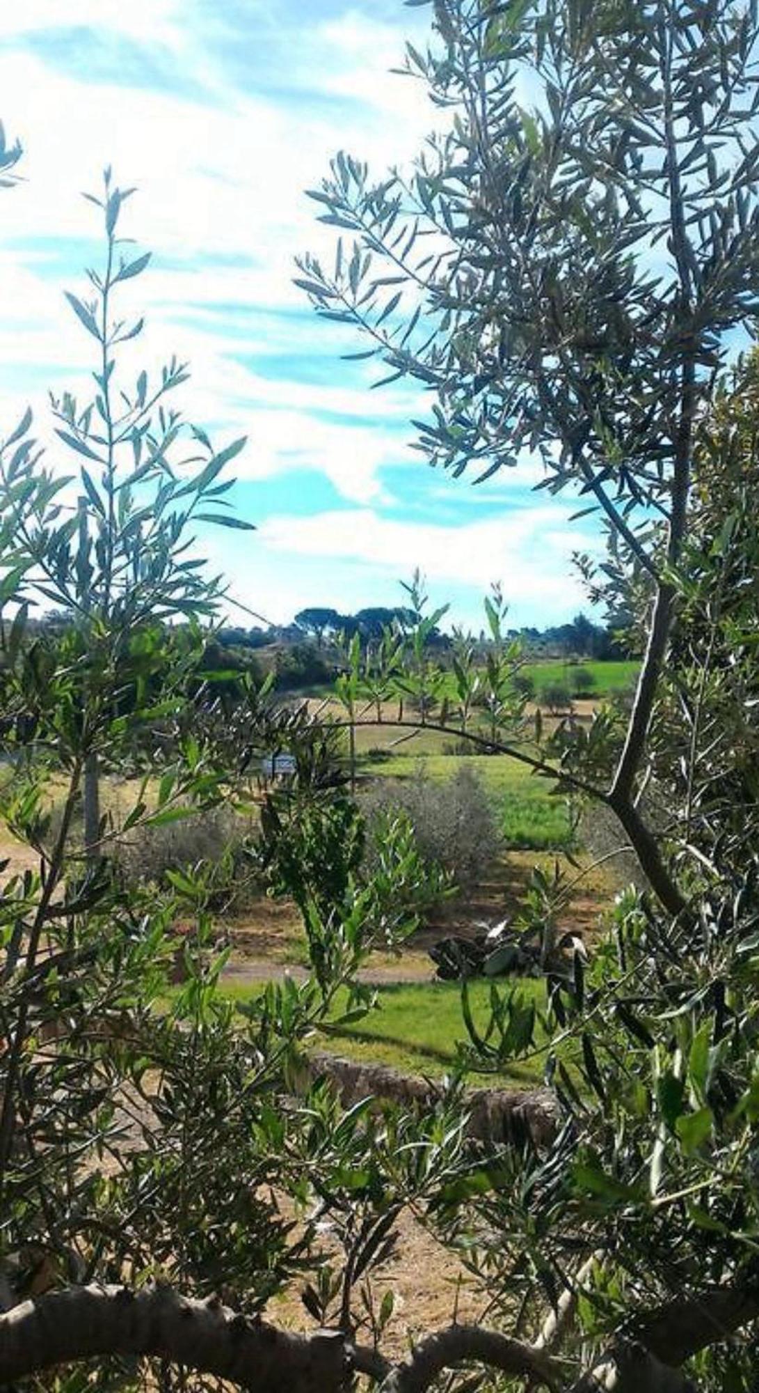 La Mandriana Villa Massa Marittima Esterno foto