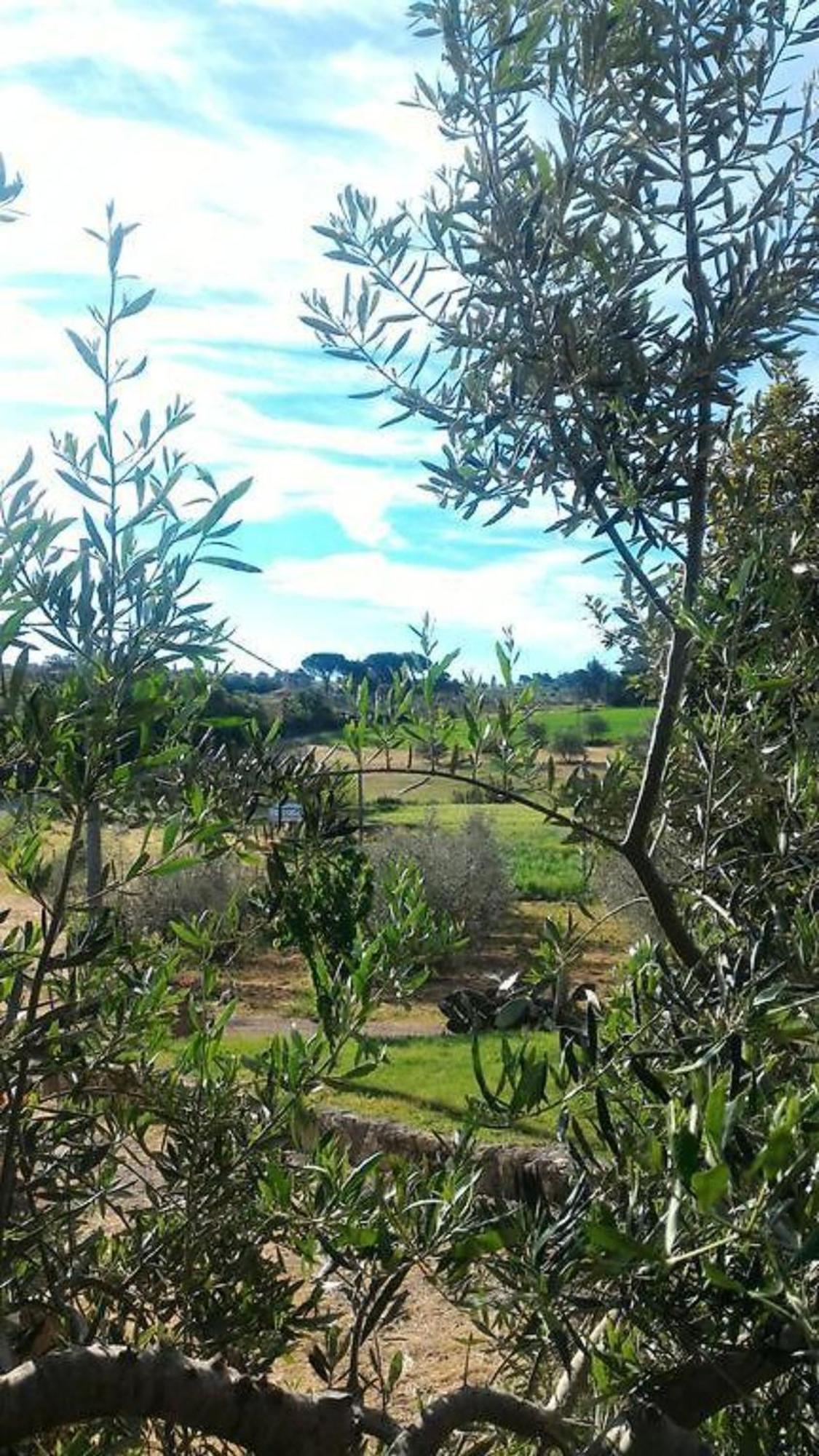 La Mandriana Villa Massa Marittima Esterno foto